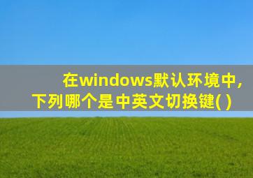 在windows默认环境中,下列哪个是中英文切换键( )
